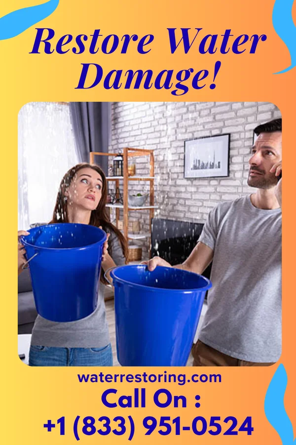 water restoration Pro Emergency Restoration Team Kingston